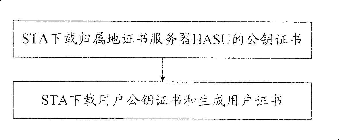 Network system and method for obtaining the public key certificate for WAPI