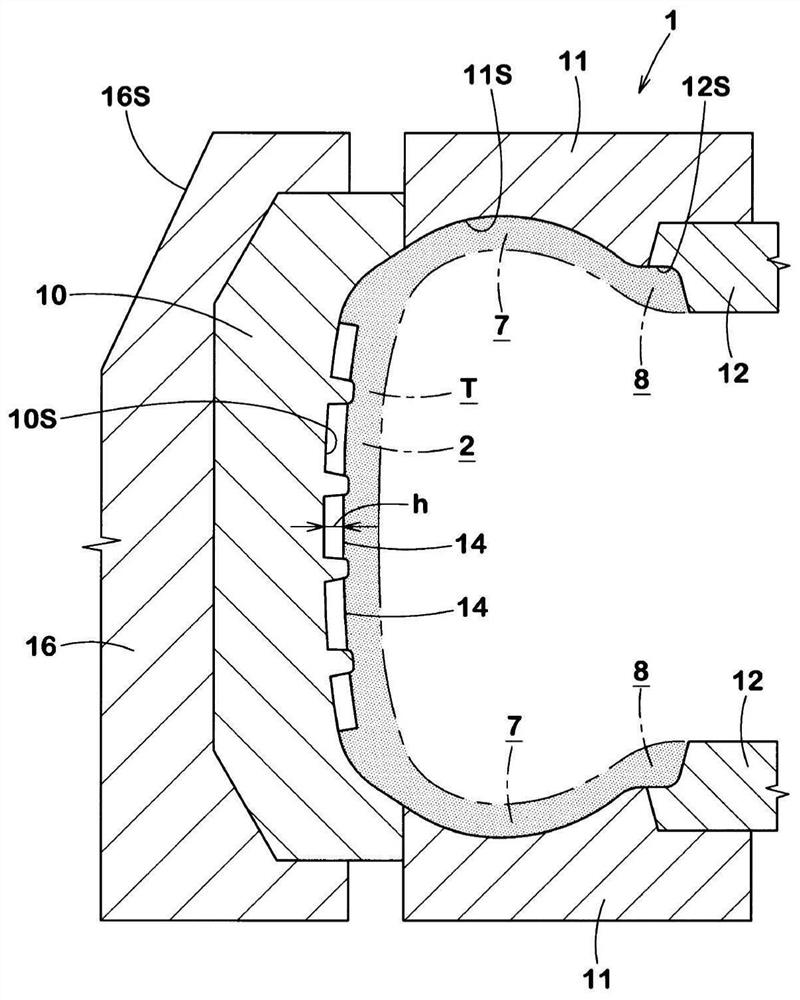 Tire vulcanization mold and tire manufacturing method