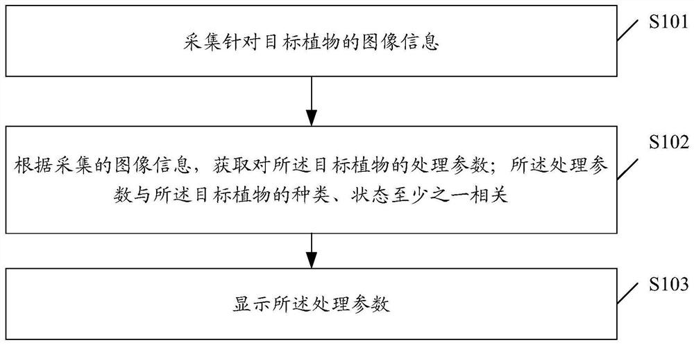 Processing method, electronic equipment, server and storage medium