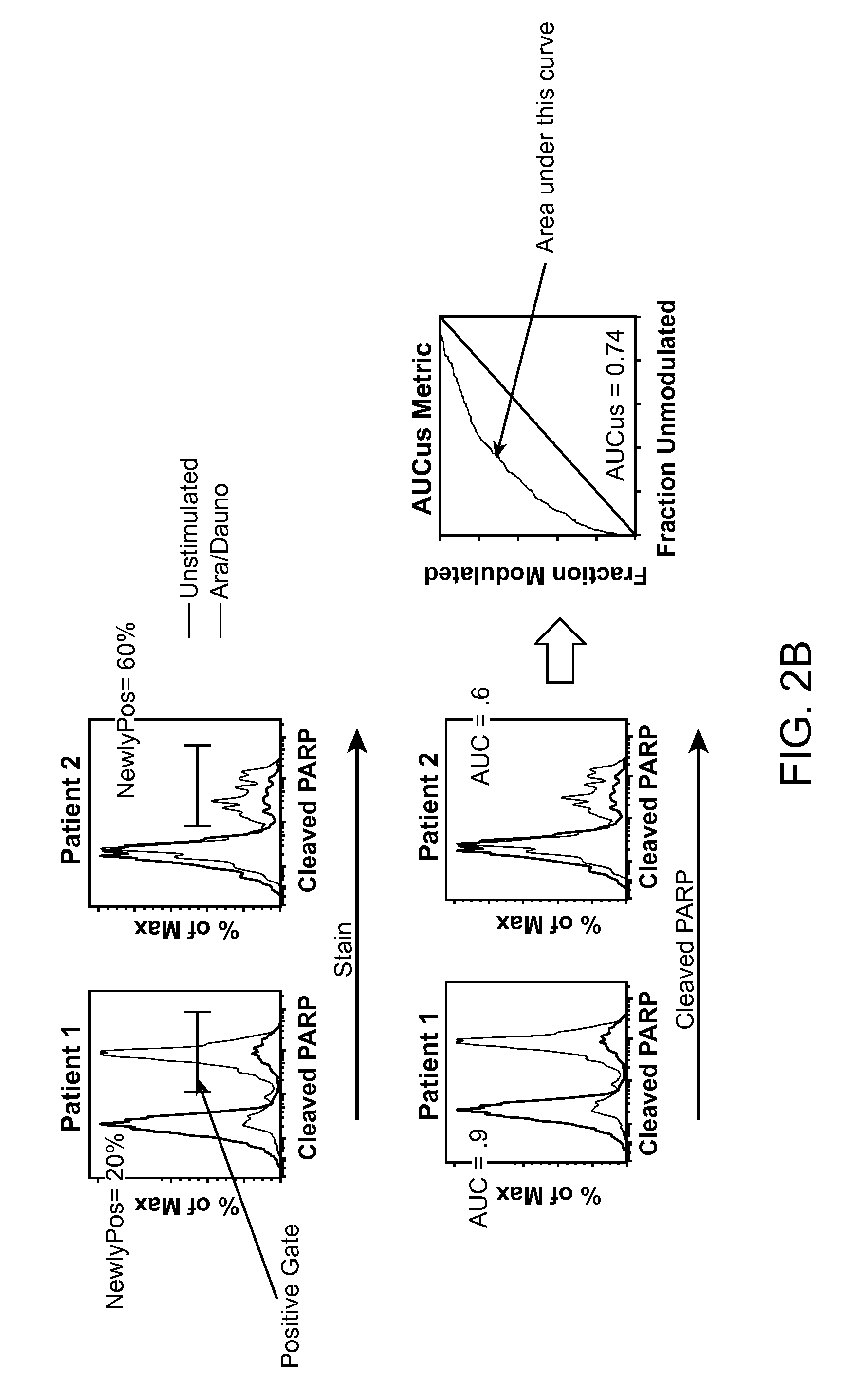 Methods for diagnosis, prognosis and methods of treatment