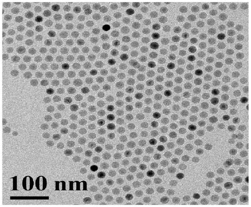 A high-sensitivity dual-mode magnetic resonance contrast agent and its preparation method