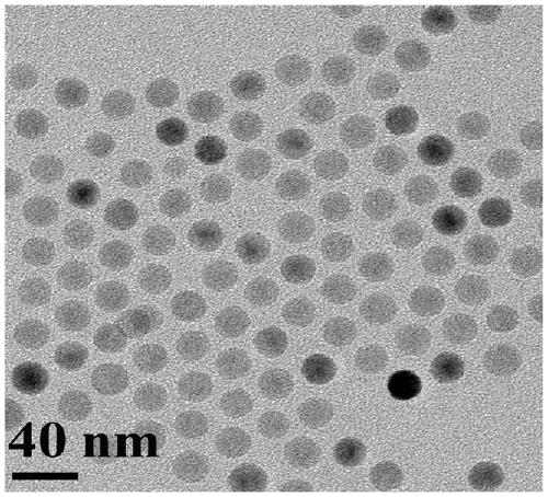 A high-sensitivity dual-mode magnetic resonance contrast agent and its preparation method