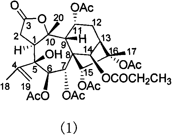 3,4-ring-opening polyacylation grayananes diterpene compound and preparation method thereof