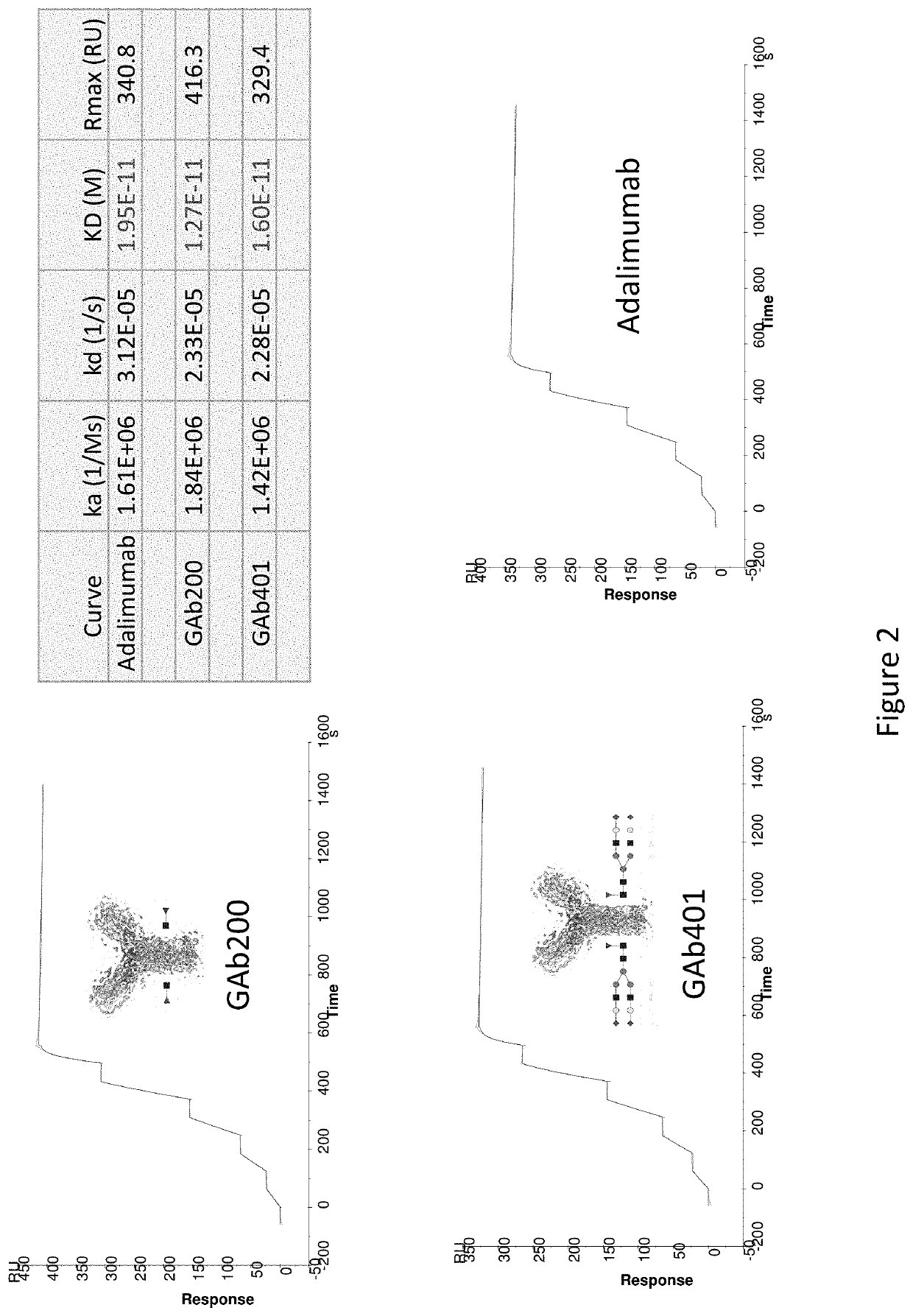 Anti-TNF-alpha glycoantibodies and uses thereof
