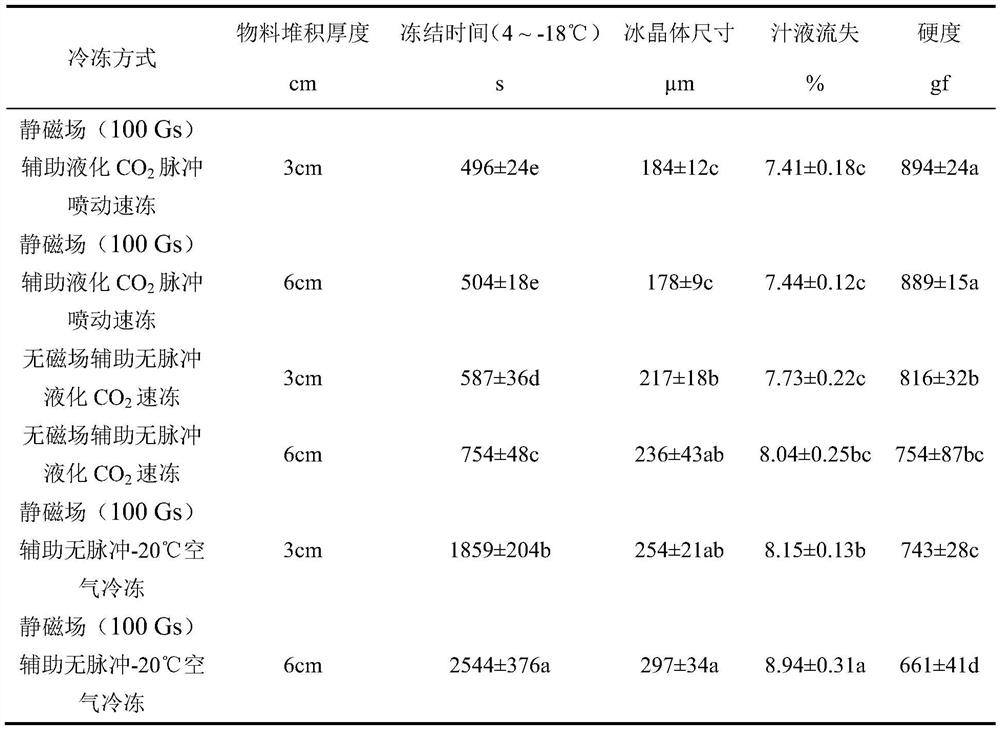 Static magnetic field assisted liquefied CO2 pulse spouting quick freezing device and pressurized efficient freezing method