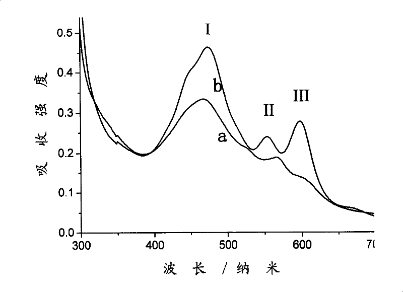 Preparation method of high-gloss high-stability Elsinochrome silicon oxide nano granule and application thereof in preparing intravenous injection agent