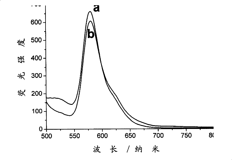 Preparation method of high-gloss high-stability Elsinochrome silicon oxide nano granule and application thereof in preparing intravenous injection agent