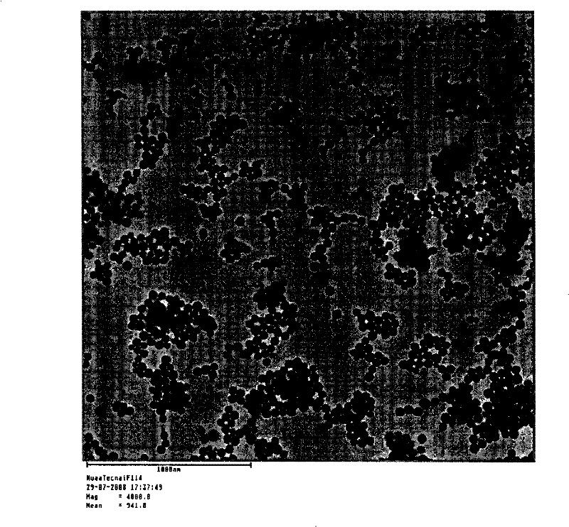 Preparation method of high-gloss high-stability Elsinochrome silicon oxide nano granule and application thereof in preparing intravenous injection agent