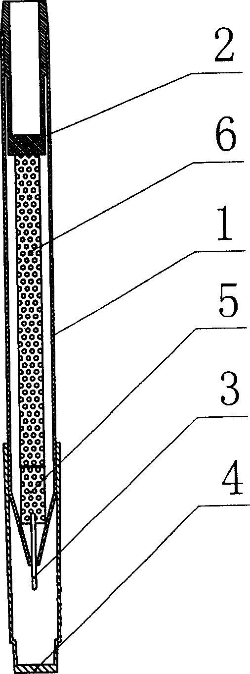 Detecting pen for quickly detecting bacterial vagina disease and its producing method