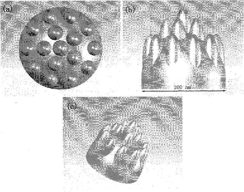 Non-aperture tip enhanced Raman scattering probe and manufacturing method thereof