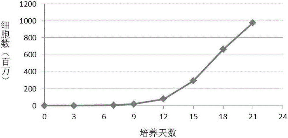 Culture medium, application thereof and culture method