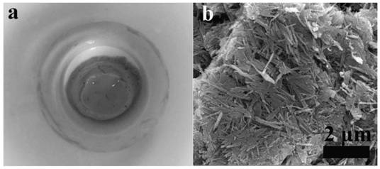 Expose the tio of the 001 and 101 crystal planes  <sub>2</sub> / sepiolite composite gel and preparation method thereof