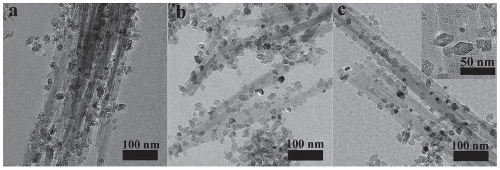 Expose the tio of the 001 and 101 crystal planes  <sub>2</sub> / sepiolite composite gel and preparation method thereof