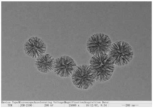 Preparation method for dendritic nano silicon particle