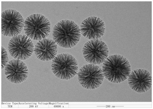 Preparation method for dendritic nano silicon particle