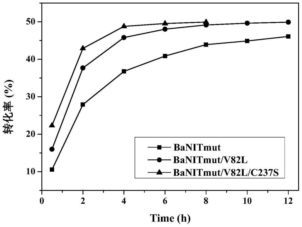 Nitrilase mutant with improved catalytic activity and reaction specificity and application