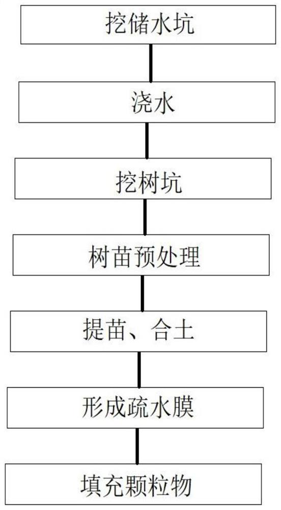 Tree planting structure in arid region