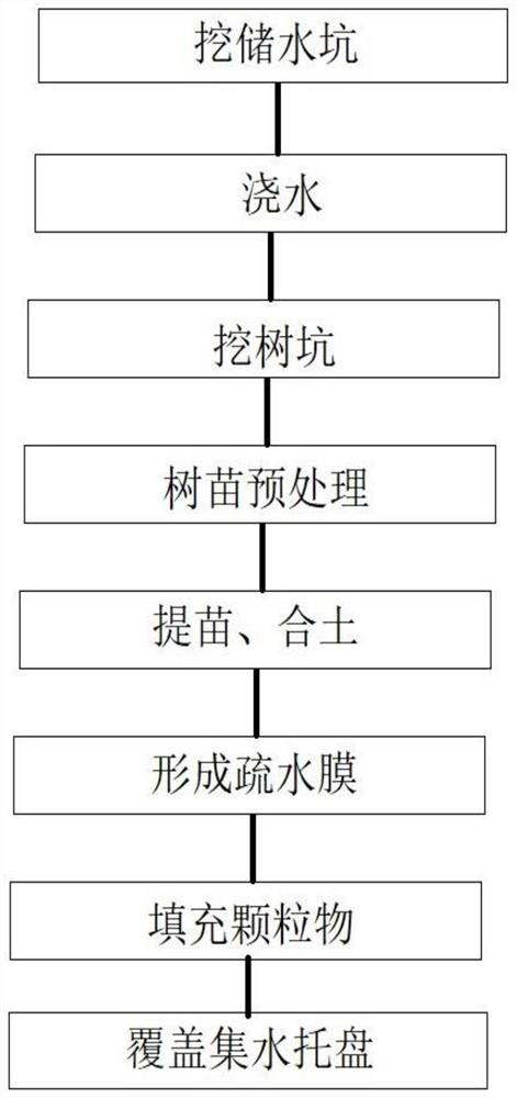 Tree planting structure in arid region