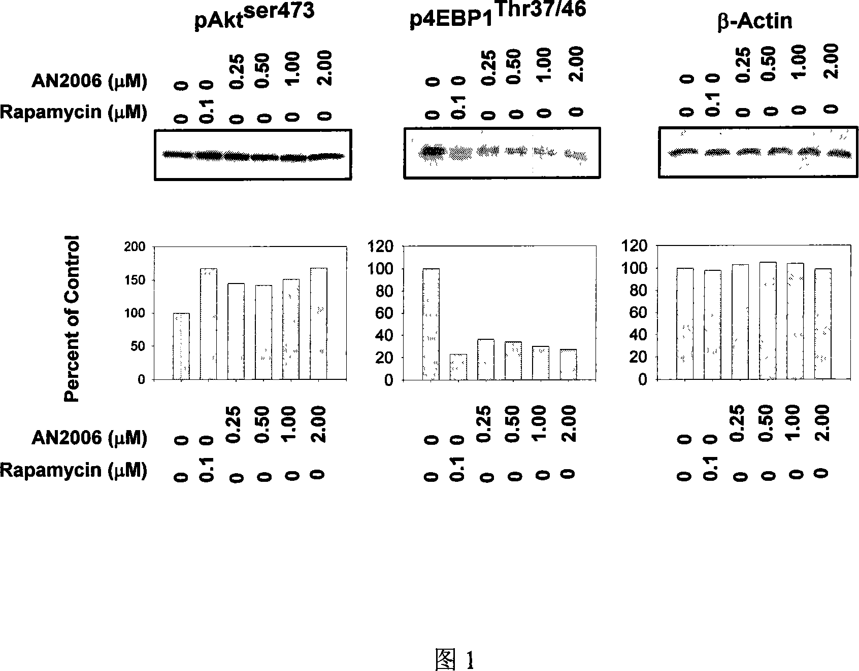 Novel medicine use of indirubin derivates