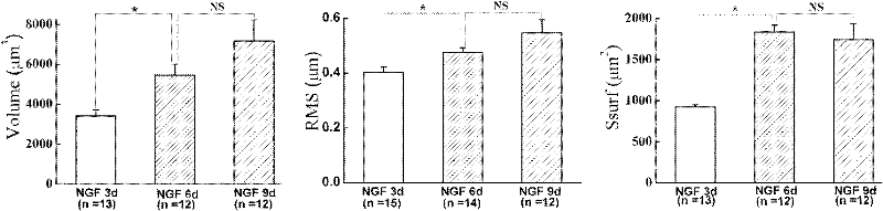 Device and method for evaluating neuron-like differentiation degree of PC12 cell
