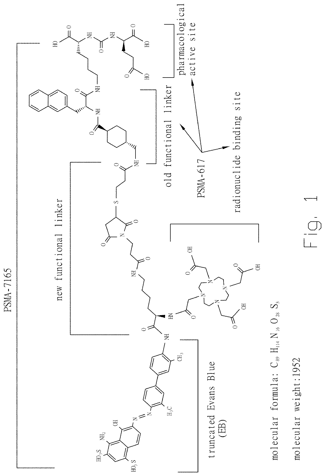 Structural molecule of peptide derivative for PSMA-targeting radiotherapy diagnosis and treatment