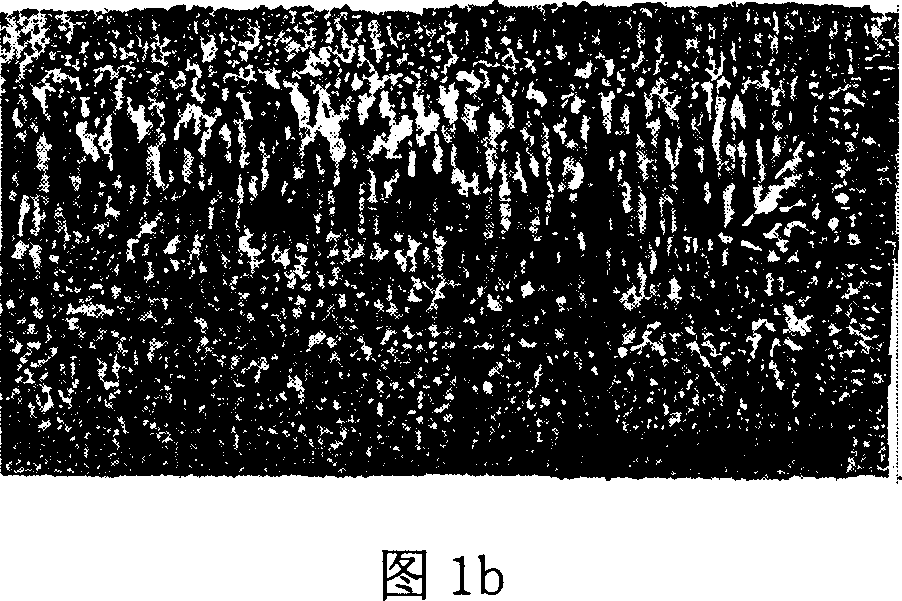 Method of applying electric field energy on molten steel to improve quality of silicon steel billet
