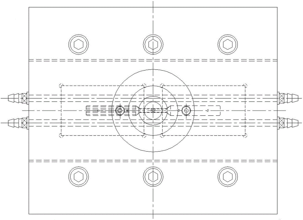 In-mold self-reinforced co-injection molding method for single polymer composites