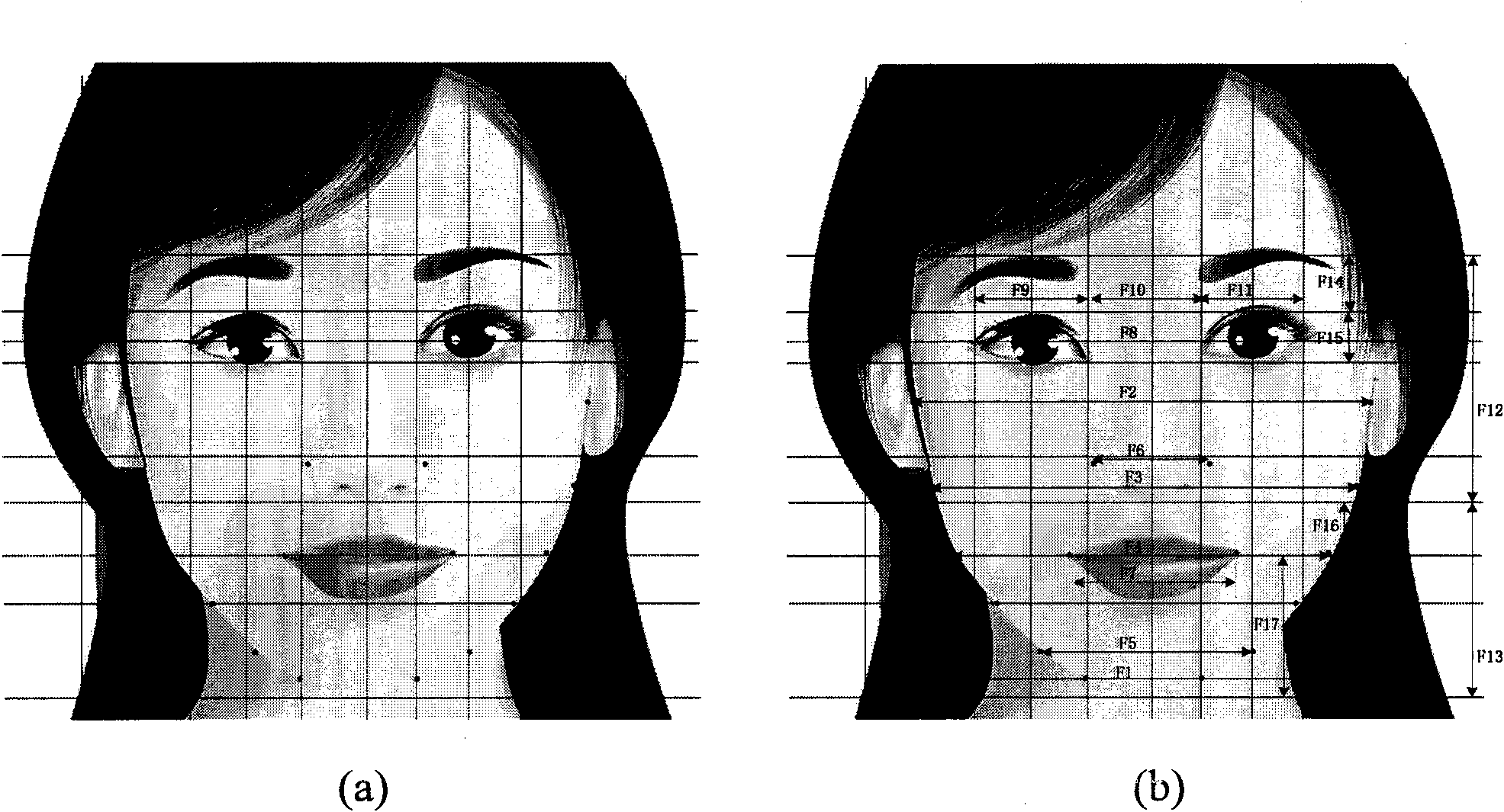 Facial beauty classification method of woman image by adopting computer