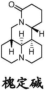 Sophoridine amine derivative, preparation method thereof and application