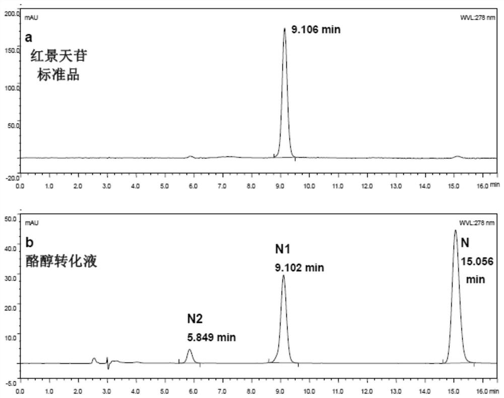 A kind of organic solvent-resistant high-efficiency galactosidase and its application