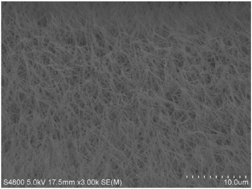 Co-Se compound nanotube@ foam Ni composite array material as well as preparation method and application thereof