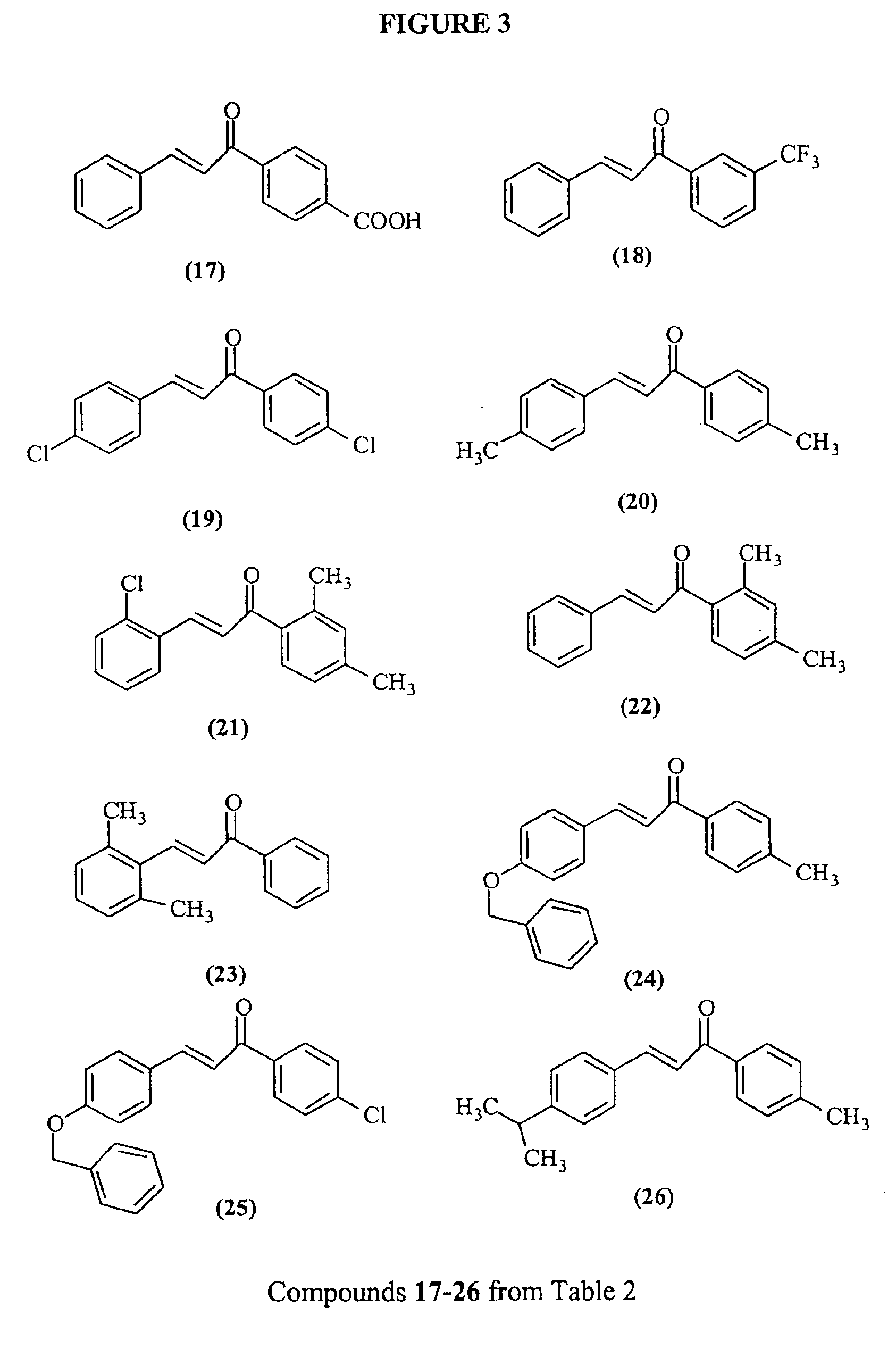 Chalcone and its analogs as agents for the inhibition of angiogenesis and related disease states