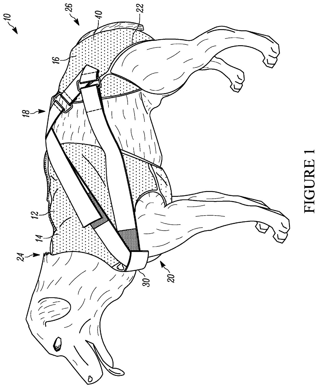 Restraint assembly for an animal