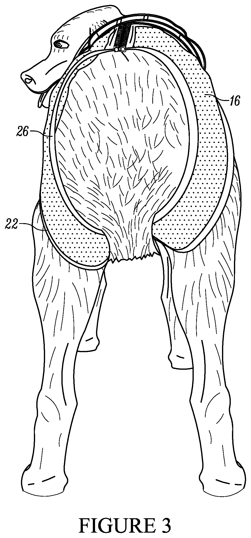 Restraint assembly for an animal