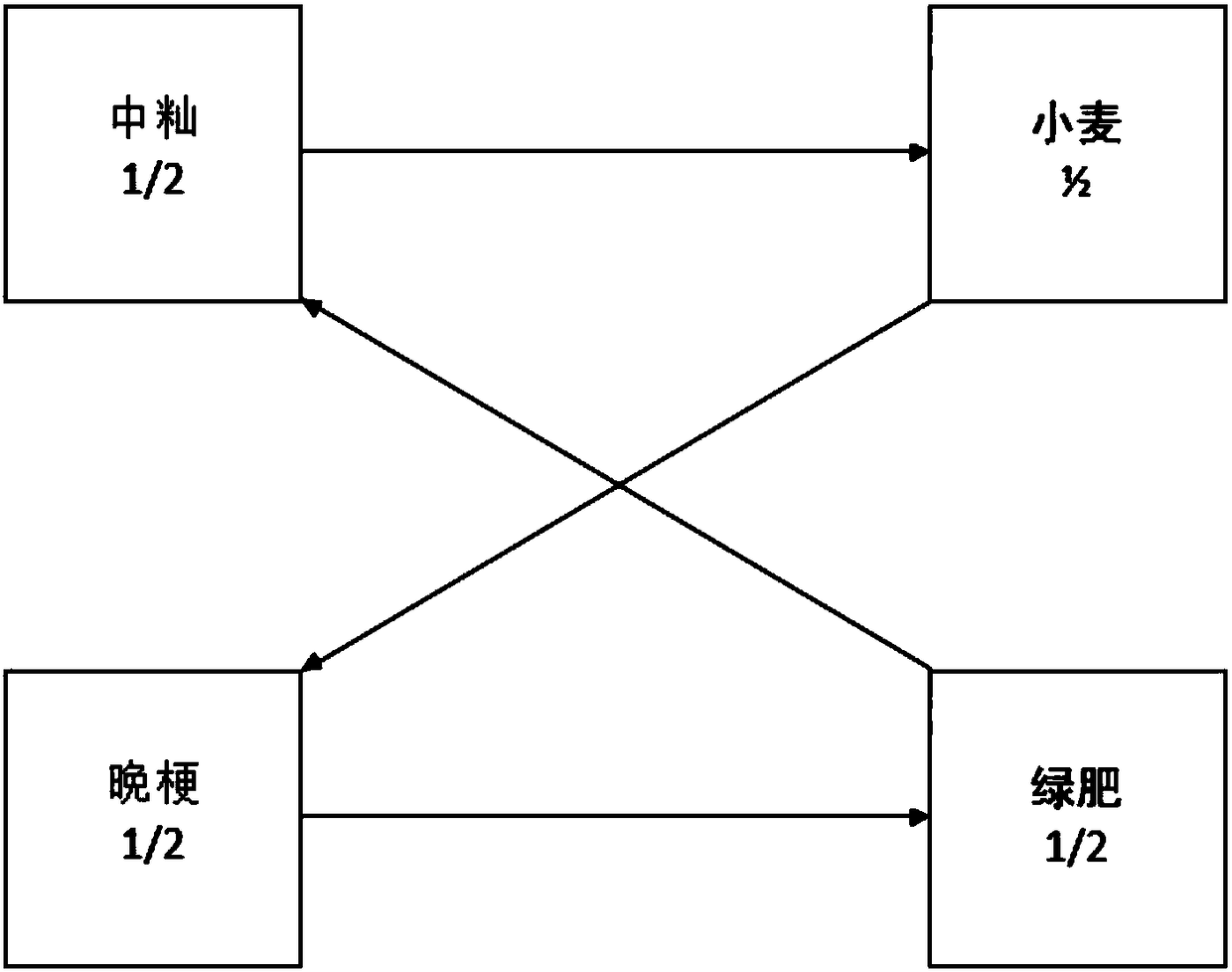 Rice and wheat crop rotation planting method