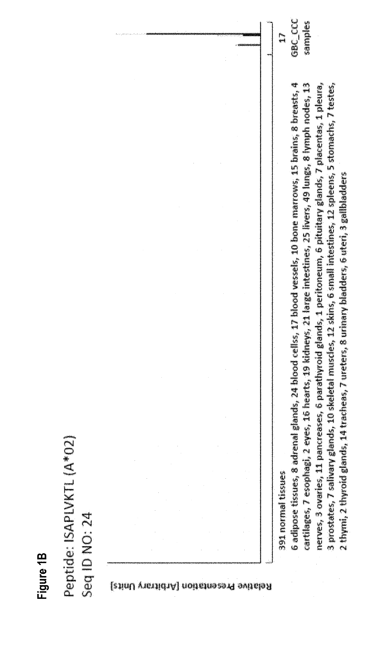 Peptides, combination of peptides as targets and for use in immunotherapy against gallbladder cancer and cholangiocarcinoma and other cancers