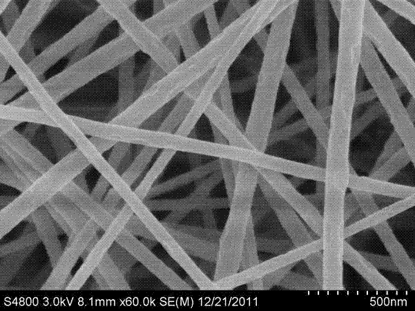 New method for synthesizing nanometal particle-loaded carbon nanofiber