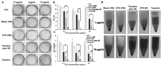 Application of vitamin E compound