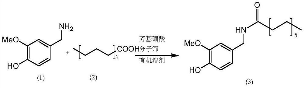 Method for preparing nonivamide