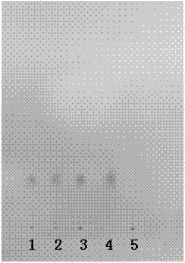 TLC Identification of Motherwort in Yixuan Granules