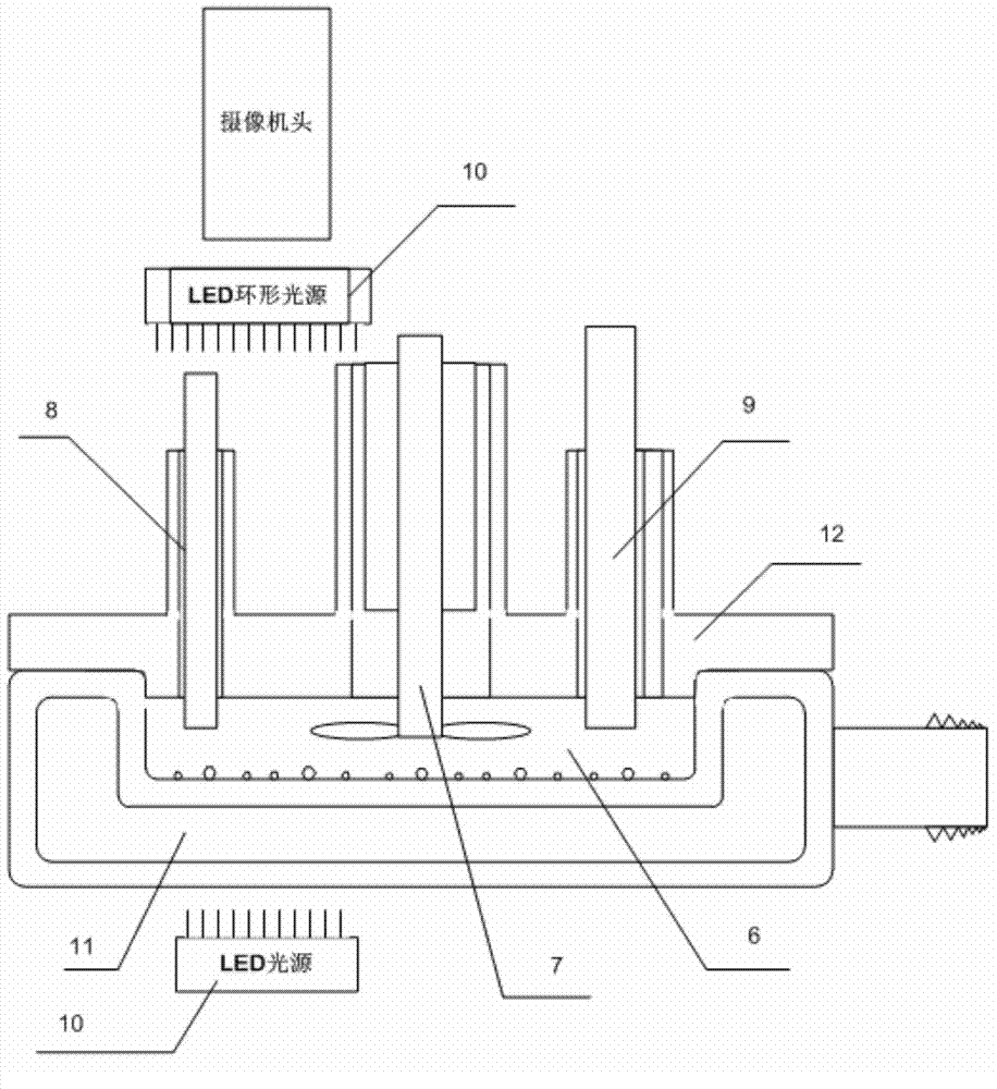 Stereoimaging test system and method for three-dimensional crystal surface growth kinetics model of crystals