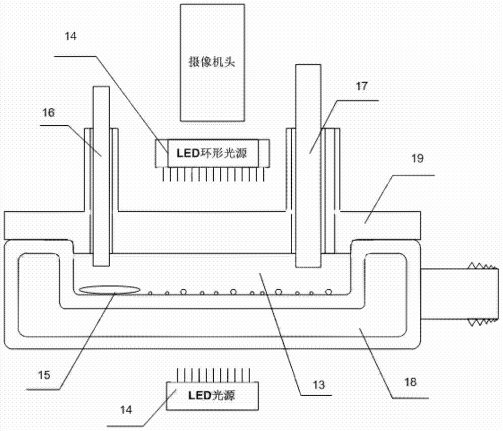 Stereoimaging test system and method for three-dimensional crystal surface growth kinetics model of crystals