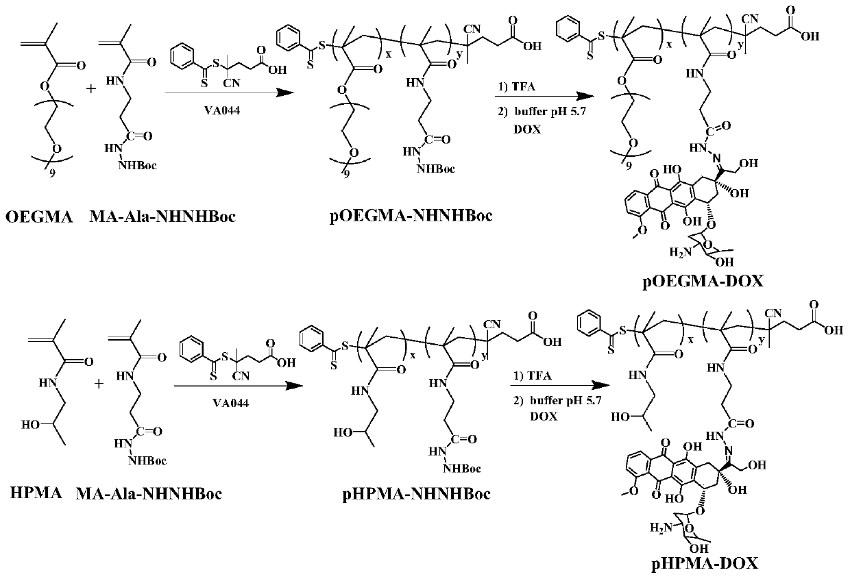 Polymer-antitumor drug conjugate as well as preparation method and application thereof