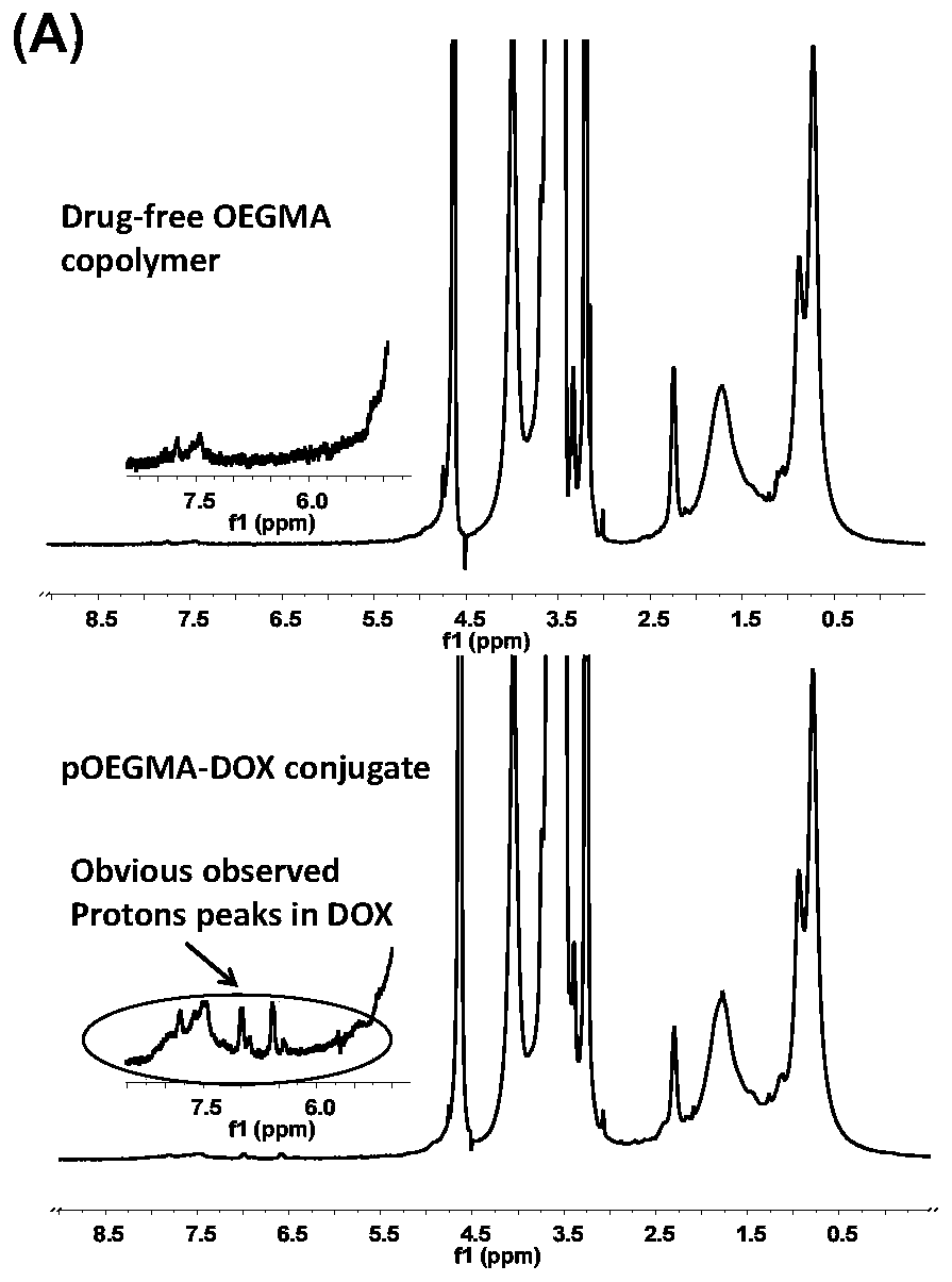 Polymer-antitumor drug conjugate as well as preparation method and application thereof