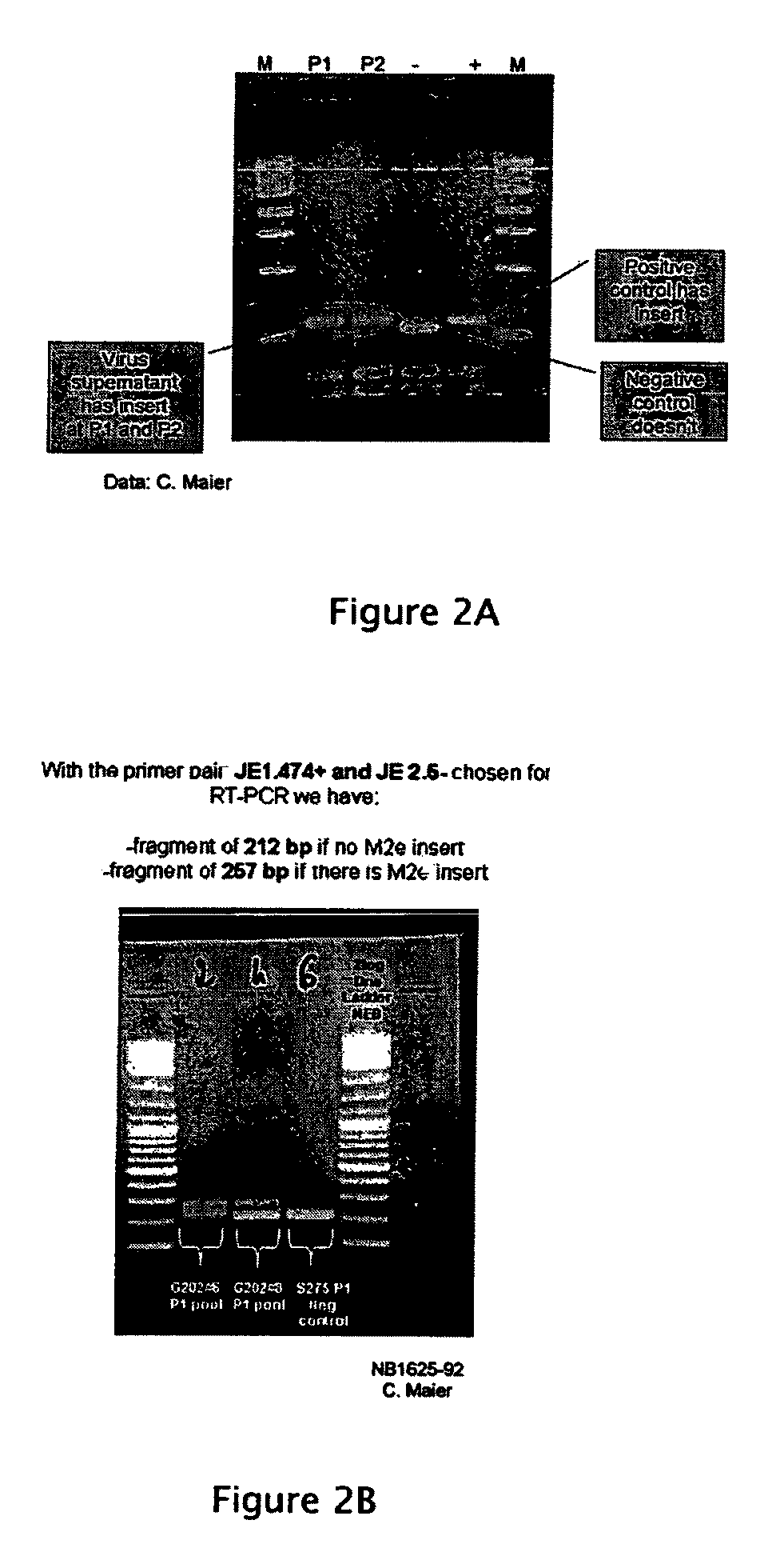 Flavivirus vaccine vector against influenza virus