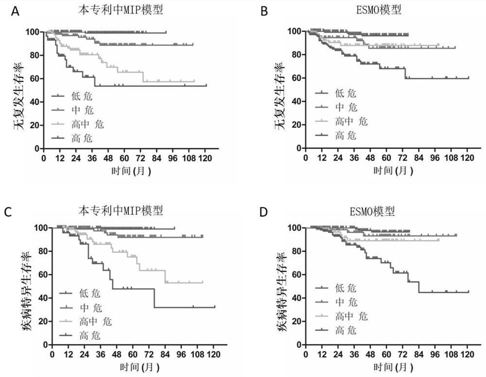 Endometrial cancer prognosis evaluation system incorporating molecular typing and immune scoring