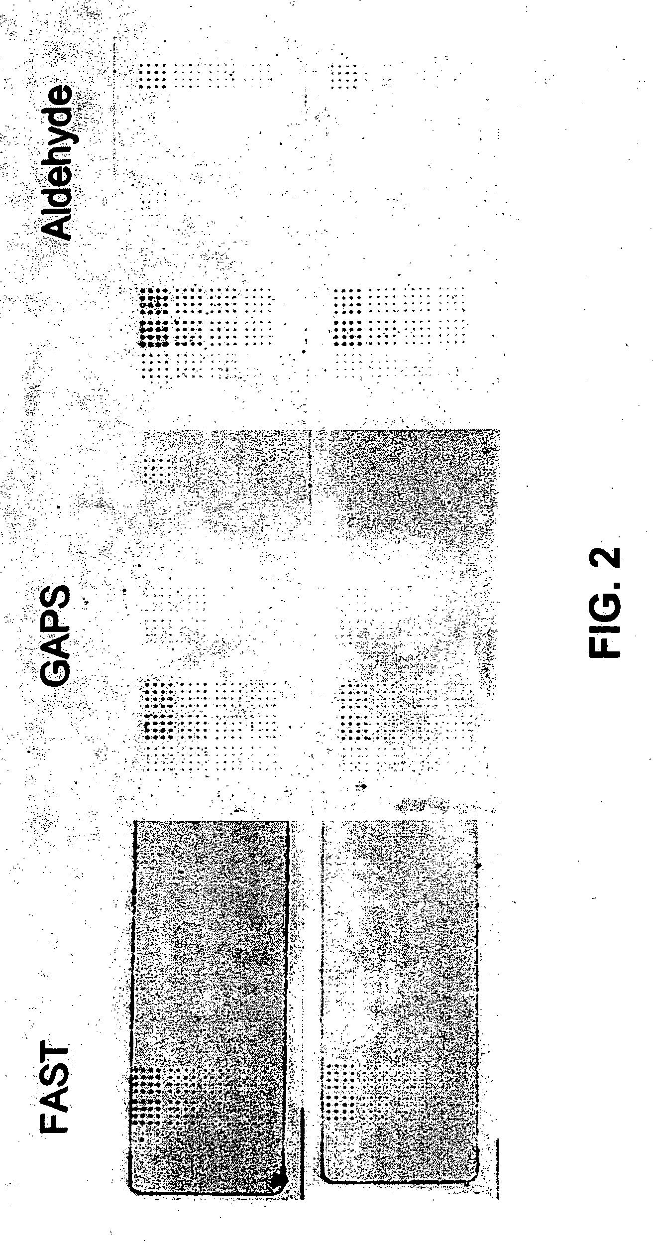 Methods for conducting assays for enzyme activity on protein microarrays