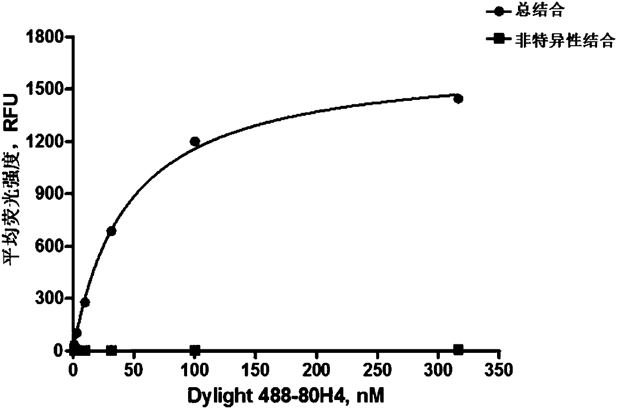 A method for detecting the affinity of transmembrane protein monoclonal antibody