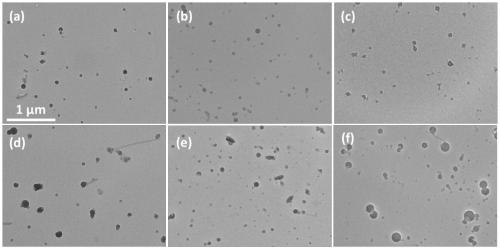 Cell-penetrating peptide and particles thereof coating hydrophobic molecules and preparation method and application of particles