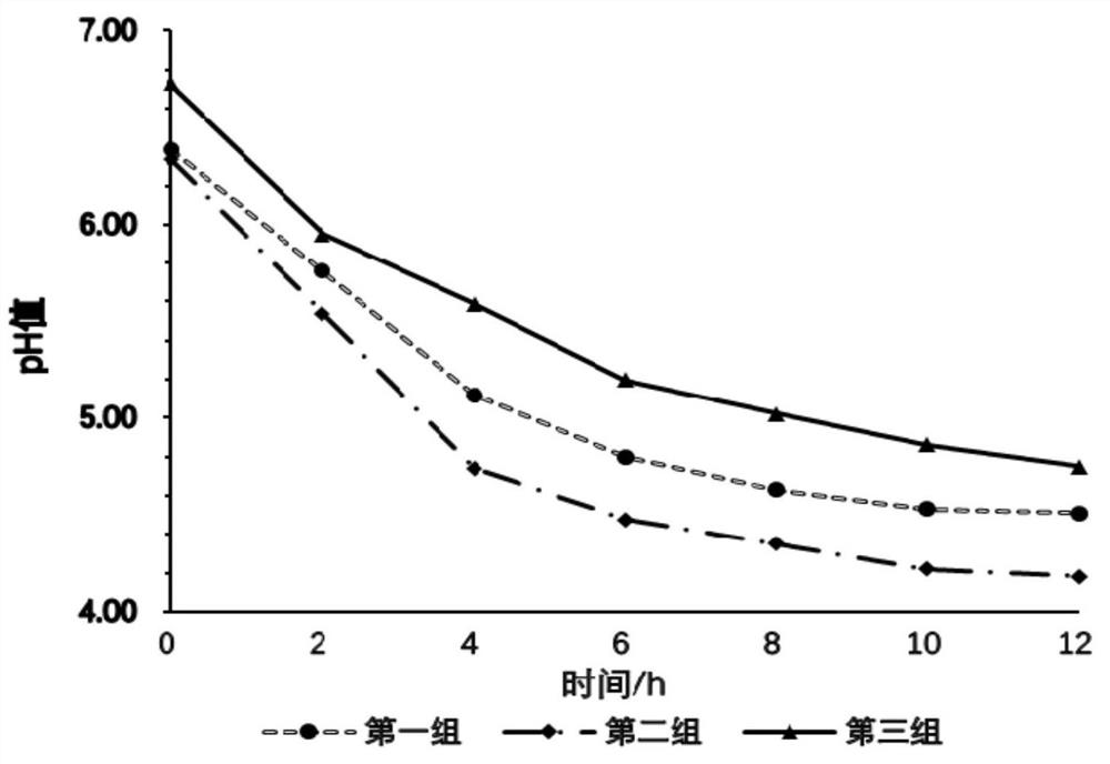 Lyoprotectant, fermentation agent, preparation method and application thereof